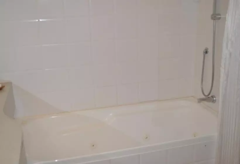 استودیوی استاندارد, City Suites