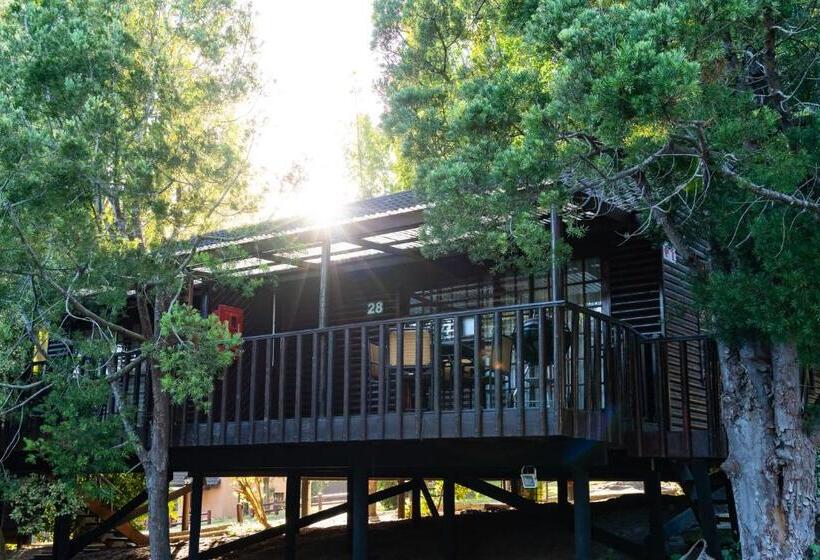 کلبه ییلاقی, Gooderson Knysna Chalets