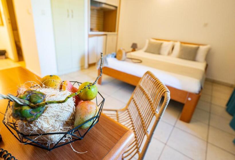 استودیوی استاندارد, Le Kerveguen