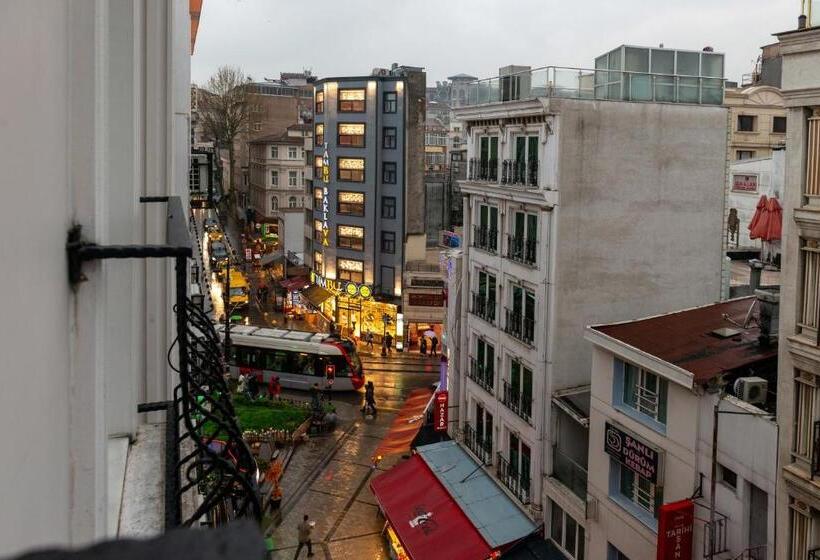 スタンダードルーム, Mr Bird