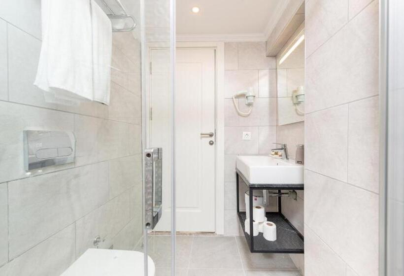 スタンダードルーム, Mr Bird