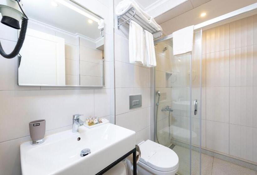 エコノミールーム, Mr Bird