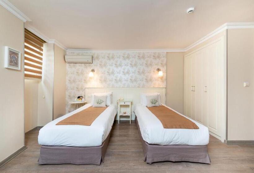 エコノミールーム, Mr Bird