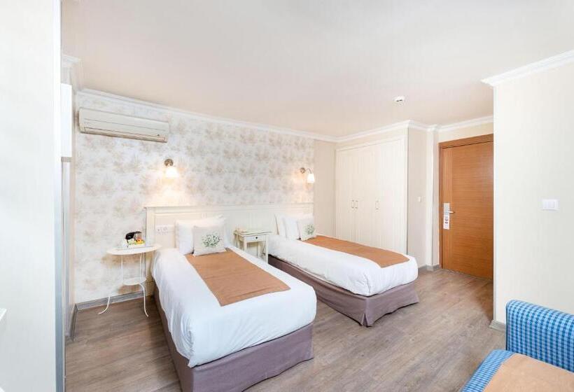 エコノミールーム, Mr Bird