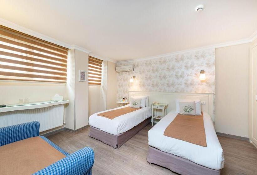 エコノミールーム, Mr Bird