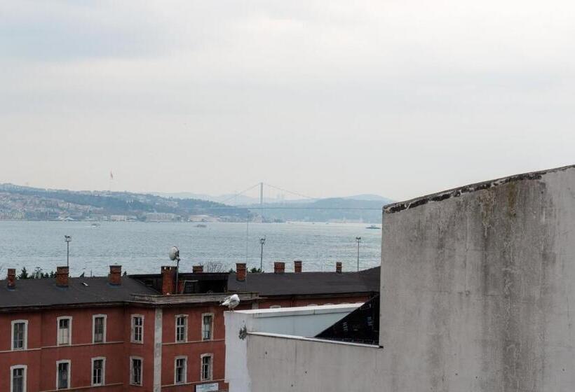 オーシャンビュースーペリアールーム, Mr Bird