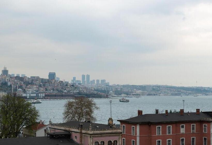 オーシャンビュースーペリアールーム, Mr Bird