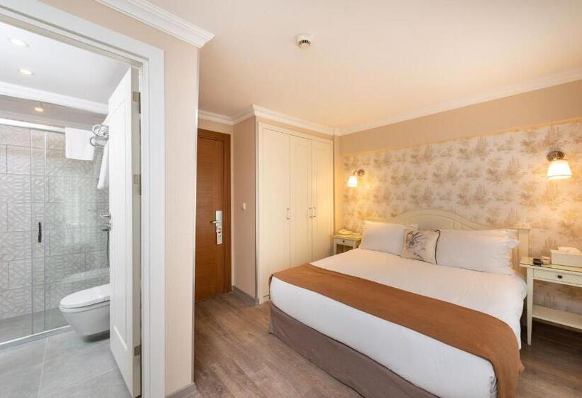 エコノミールーム, Mr Bird