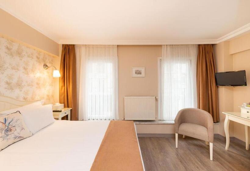 エコノミールーム, Mr Bird