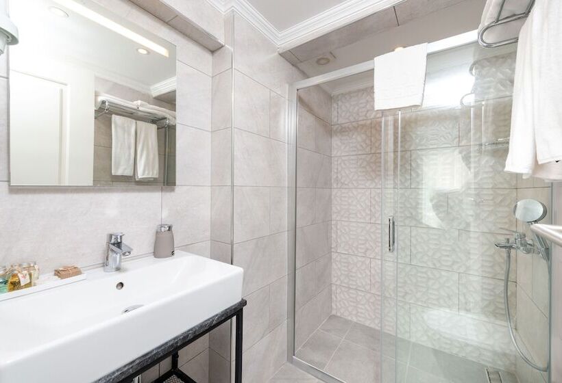 スタンダードルーム, Mr Bird