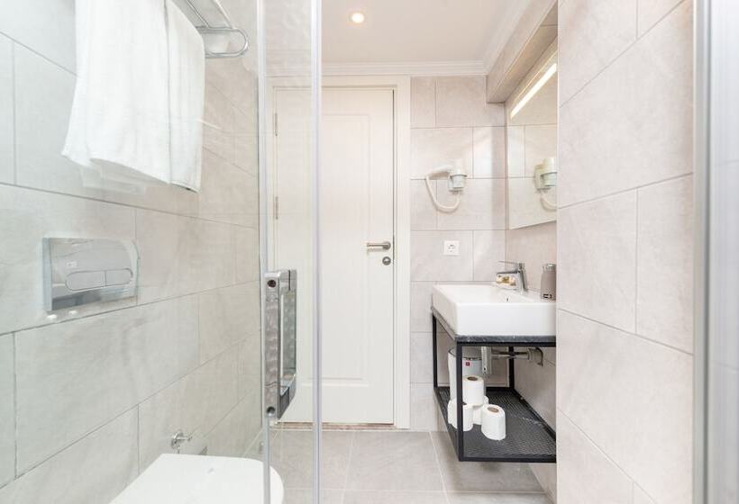 スタンダードルーム, Mr Bird