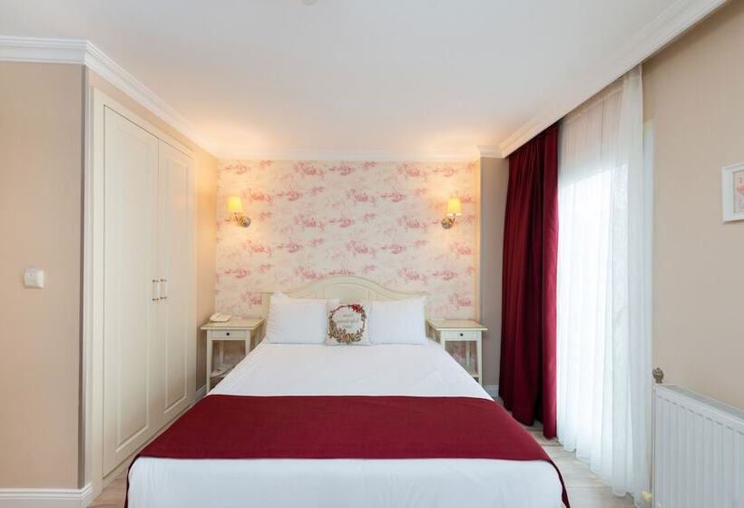 スタンダードルーム, Mr Bird