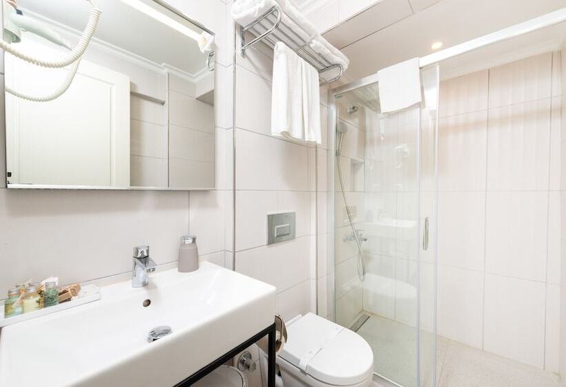 デラックスルーム, Mr Bird