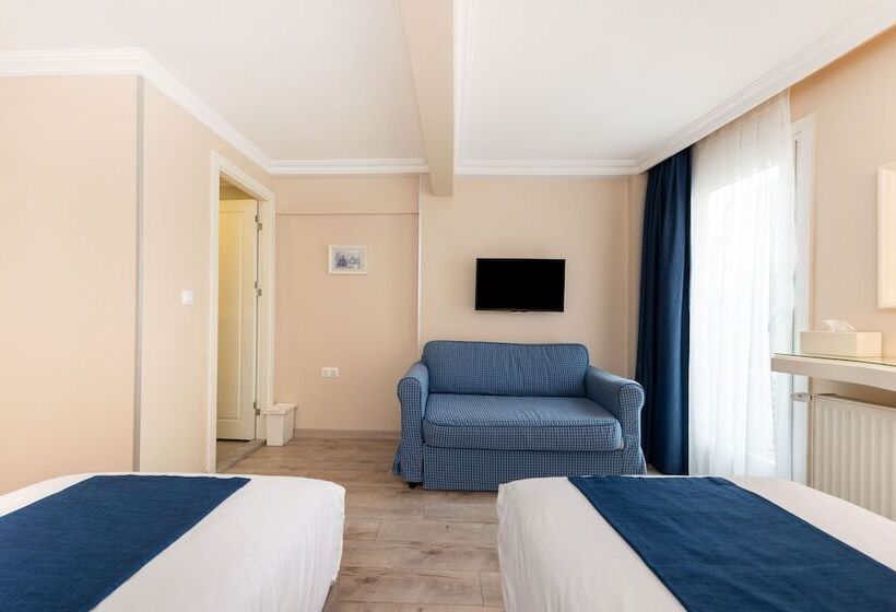 デラックスルーム, Mr Bird