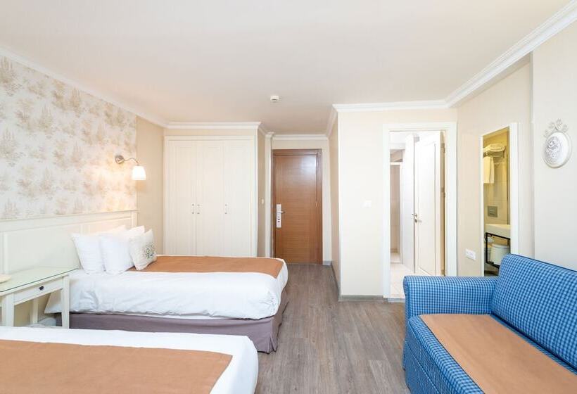 エコノミールーム, Mr Bird