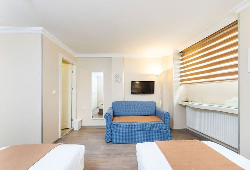 エコノミールーム, Mr Bird