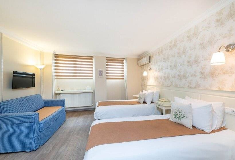 エコノミールーム, Mr Bird