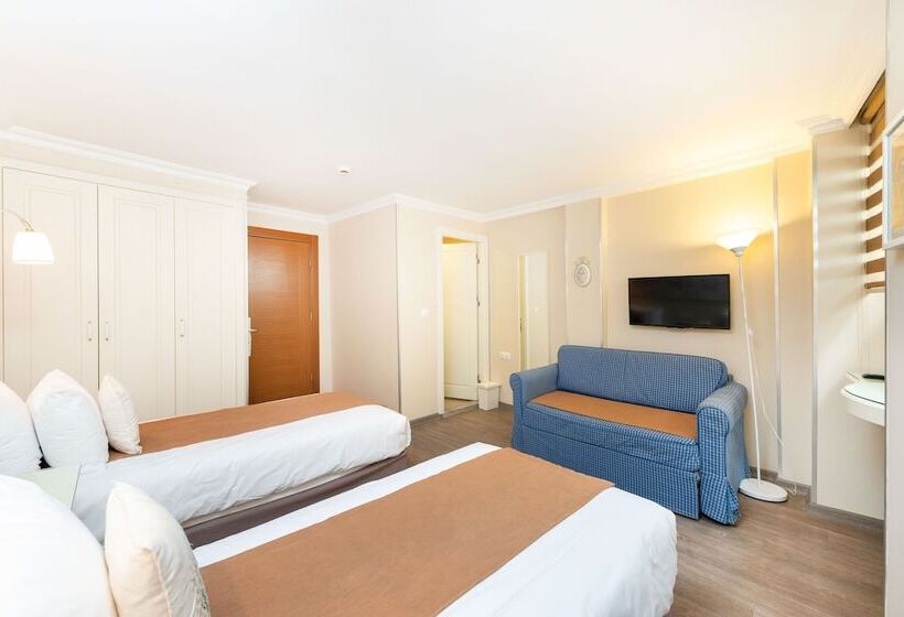 エコノミールーム, Mr Bird