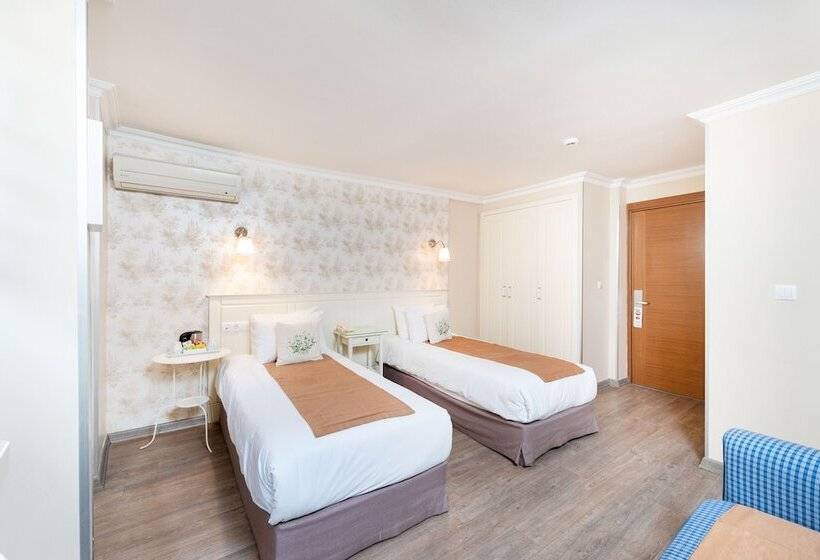 エコノミールーム, Mr Bird