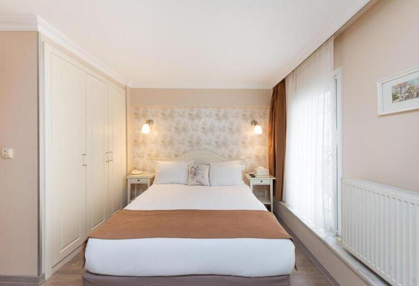 エコノミールーム, Mr Bird