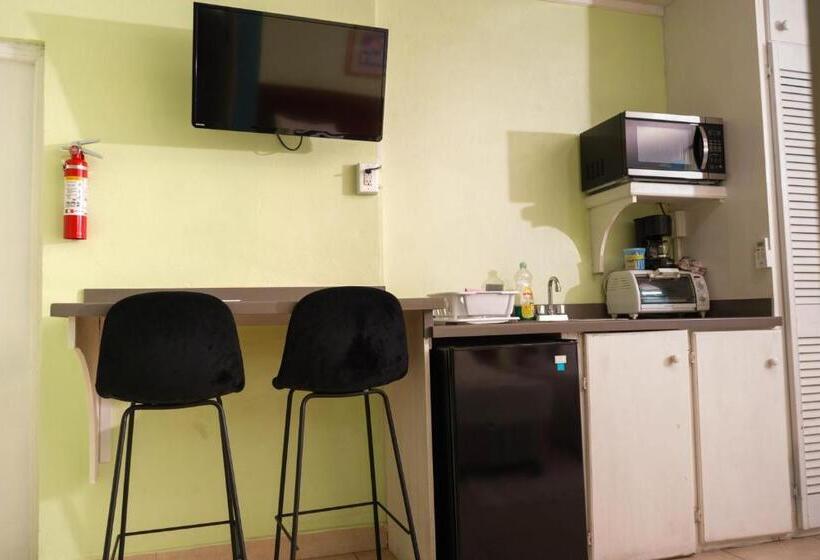 استودیوی استاندارد اینتریور, Palm Garden Hotel Barbados