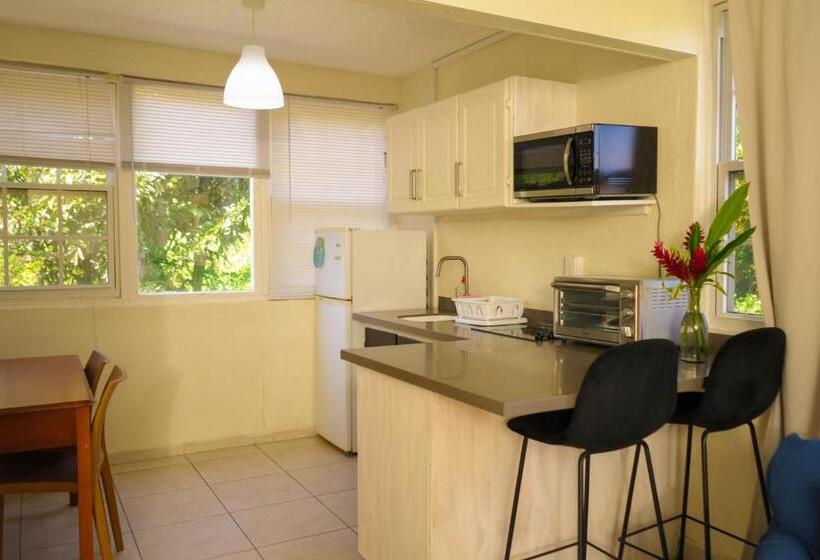 استودیوی استاندارد, Palm Garden Hotel Barbados