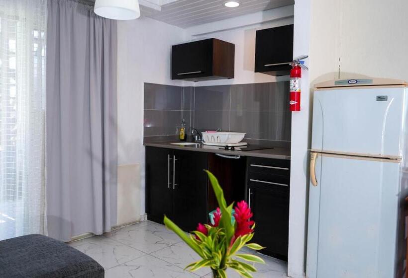 استودیوی استاندارد, Palm Garden Hotel Barbados