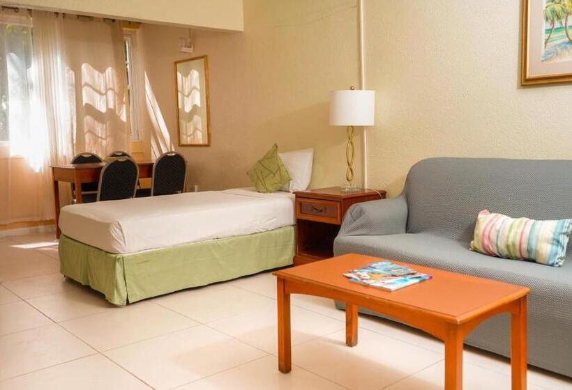آپارتمان 1 خوابه, Palm Garden Hotel Barbados