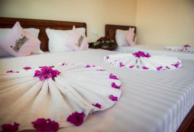 스탠다드 룸, Seng Hout