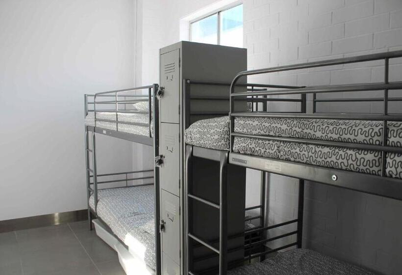 共用房间的床, Quokka Backpackers Hostel Perth Note Valid Passport Required To Check In