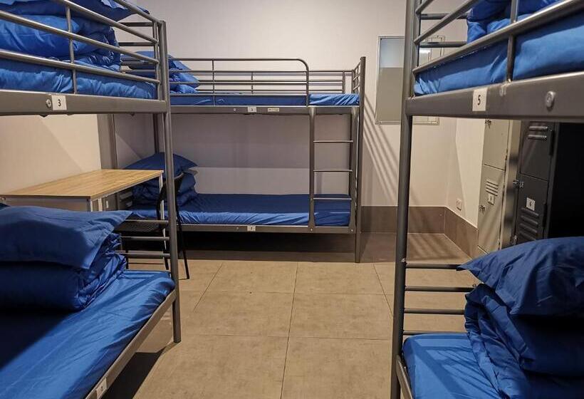 공동 객실, Quokka Backpackers Hostel Perth   Note   Valid Passport Required To Check In