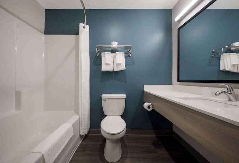 Люкс, Woodspring Suites Wixom   Novi