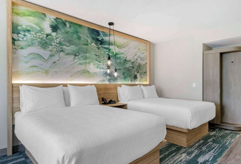 غرفه قياسيه سريرين مزدوجين, Best Western Plus Winter Haven Inn & Suites