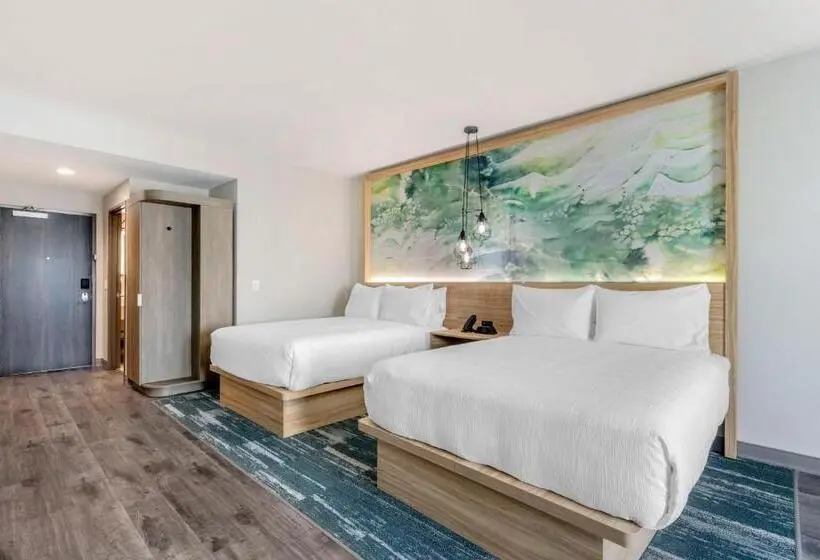 キッチン付きスタンダードルーム, Best Western Plus Winter Haven Inn & Suites