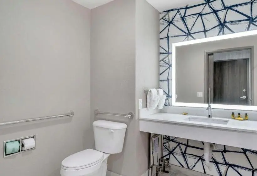 身障者適用キングサイズベッドルーム, Best Western Plus Winter Haven Inn & Suites