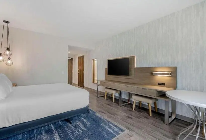 身障者適用キングサイズベッドルーム, Best Western Plus Winter Haven Inn & Suites