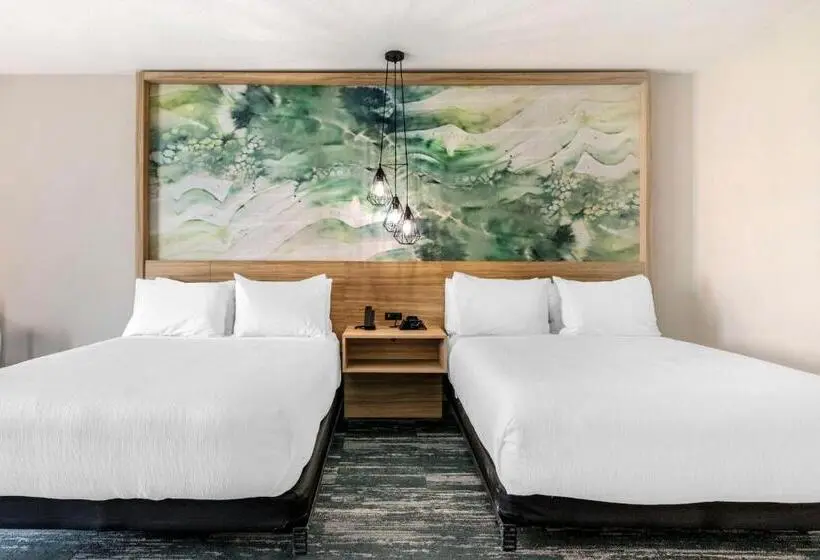 身障者適用スタンダードルーム, Best Western Plus Winter Haven Inn & Suites