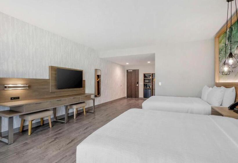 غرفة قياسية لذوى الاحتياجات الخاصة, Best Western Plus Winter Haven Inn & Suites