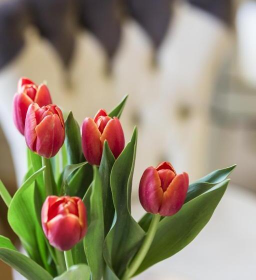 חדר משפחתי דלוקס, 3 Sixty Hotel & Suites