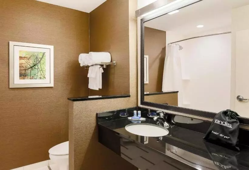 スタンダードスタジオ, Fairfield Inn & Suites By Marriott Cotulla