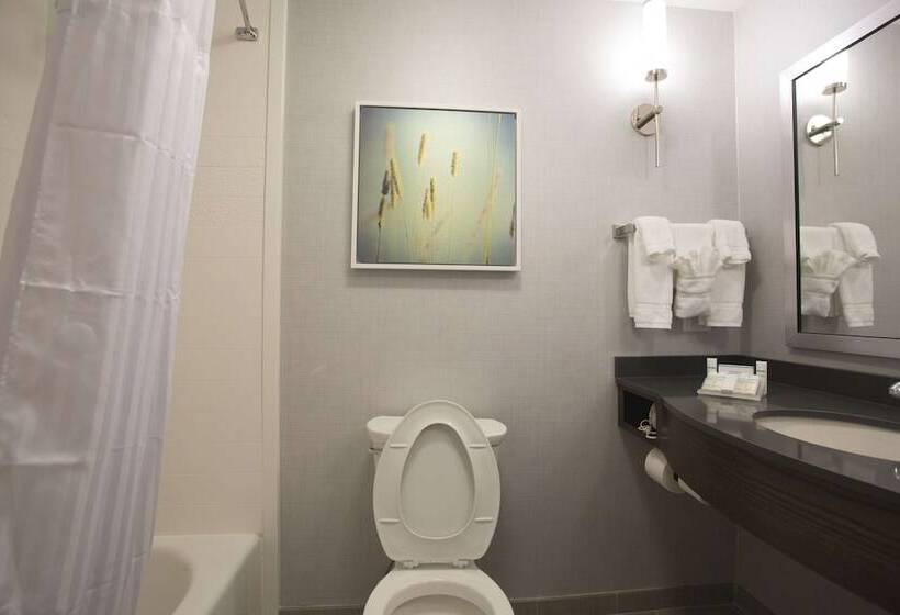 חדר סטנדרט, מיטת קינג, מותאם לאדם עם מוגבלויות, Hilton Garden Inn Bolingbrook I 55