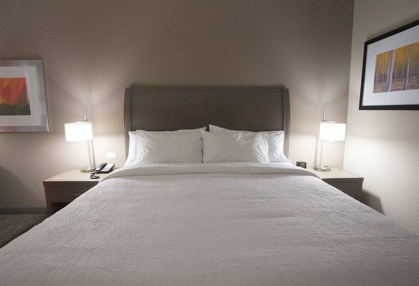 חדר סטנדרט, מיטת קינג, מותאם לאדם עם מוגבלויות, Hilton Garden Inn Bolingbrook I 55