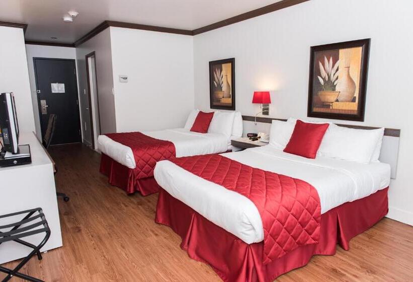 חדר קומפורט, Le Floral