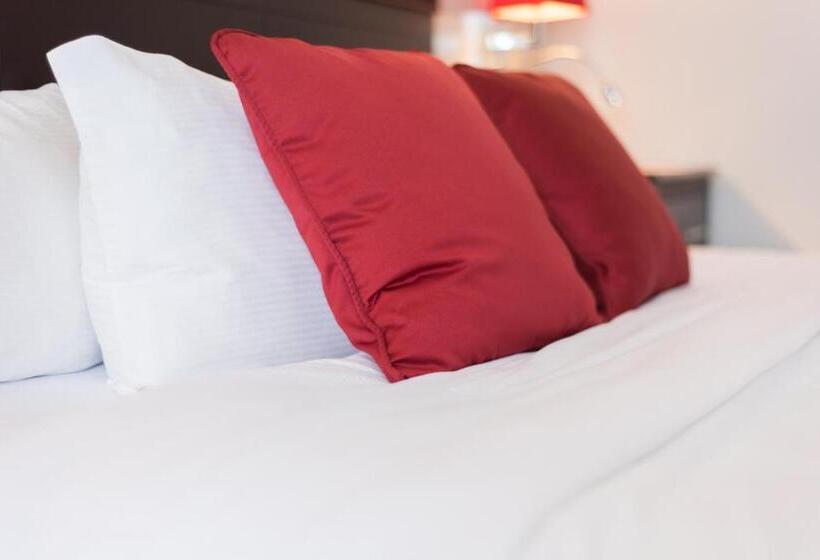 חדר סטנדרט מותאם לאדם עם מוגבלויות, Le Floral