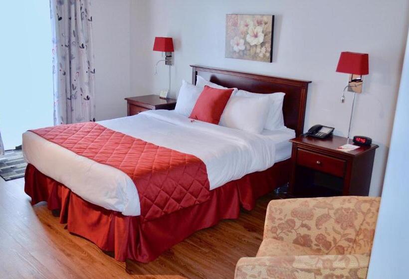 חדר סטנדרט מותאם לאדם עם מוגבלויות, Le Floral