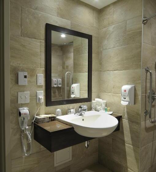 חדר סופריור מותאם לאדם עם מוגבלויות, Le Floral