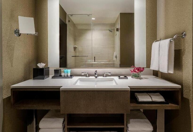 Номер Стандарт Кровать Кинг Адаптированный для Инвалидов, Hyatt Regency Tysons Corner Center