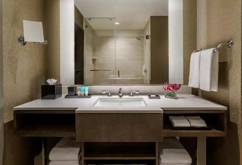 身障者適用キングサイズベッドルーム, Hyatt Regency Tysons Corner Center