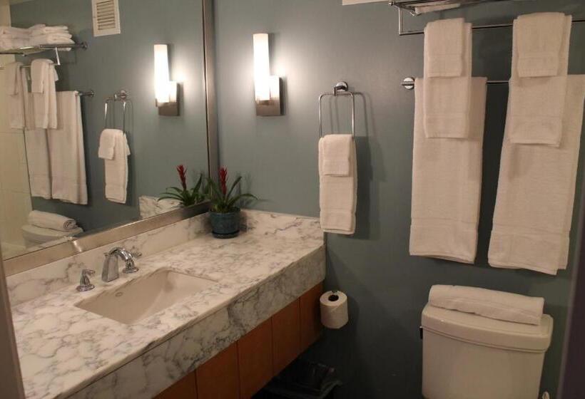 스탠다드 룸 바다 전망, Lsi Resorts At Ala Moana