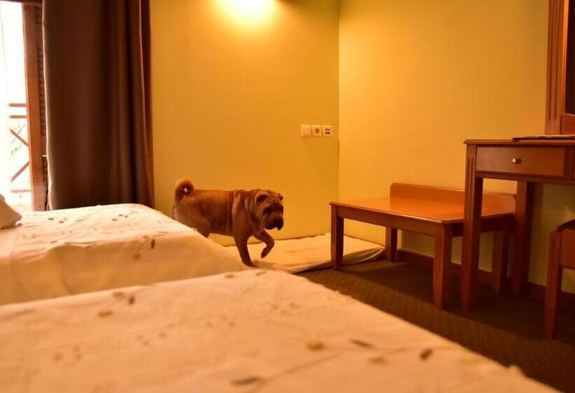 غرفة سوبيريور مطلة على حمام السباحة, Mont Helmos